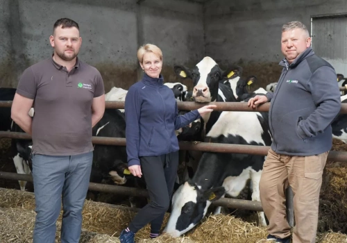 Nie gonią za rekordami. Ten rolnik stawia na zdrowie krów i stabilny zysk