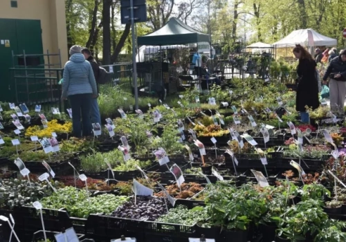 Zioła, kwiaty, drzewa cytrynowe i rękodzieło. Tak wygląda kiermasz ogrodniczy 