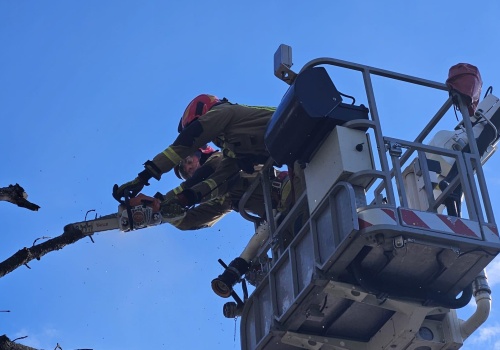 Drzewa na drogach i uszkodzone dachy. Strażacy walczą ze skutkami silnego wiatru