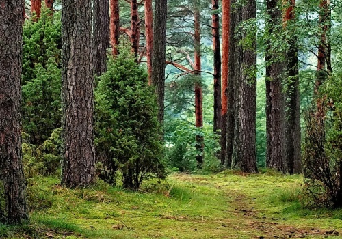 Jak rozwijać turystykę odpowiedzialnie? Dyskusja w Charzykowach pod Chojnicami