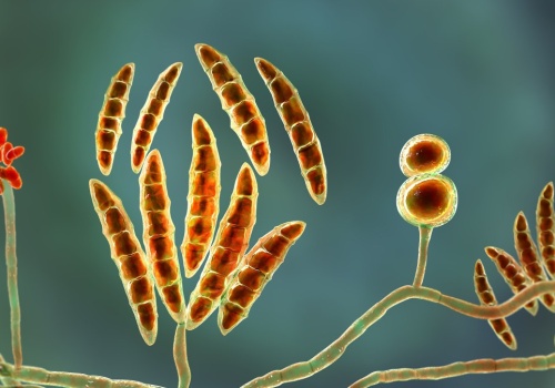 To nie tylko pył i sól. Naukowcy odkryli 