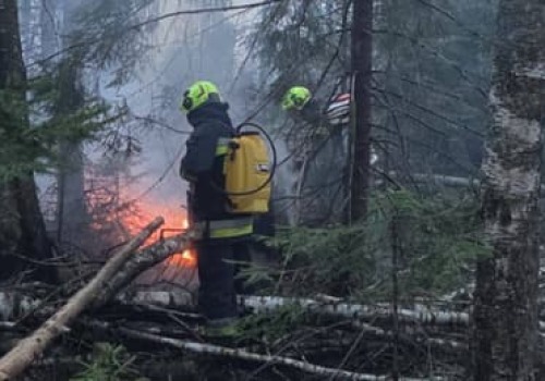 Ogromny pożar w Puszczy Białowieskiej