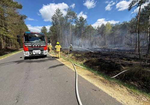 Pożar lasu pod Kluczborkiem. W akcji Dromader