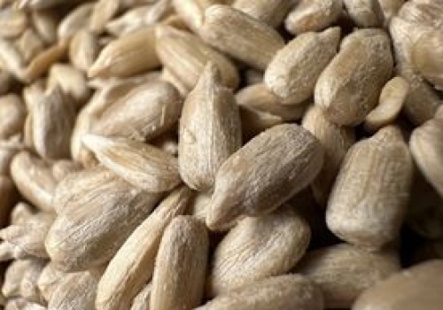 Zapomnij o drogich suplementach. Te nasiona to skarbnica magnezu i witaminy E