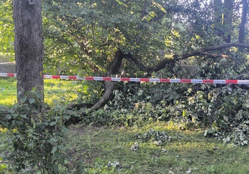 Silny wiatr nad regionem. Ostatnia doba pełna interwencji strażaków