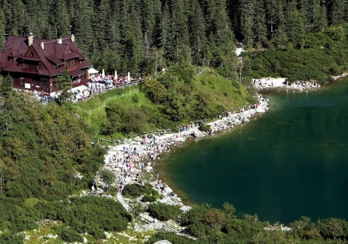 Kamera uchwyciła niezwykłego osobnika w Tatrach. Wygrzewał się przy Morskim Oku