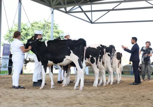 Ruszyły zapisy do Ogólnopolskiej Szkoły Młodych Hodowców 2026!