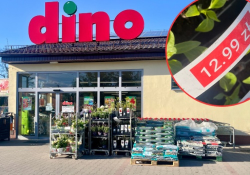 Nowy widok przed Dino. Klienci podchodzą i dziwią się. 