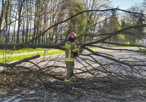 Wiatr uderzył z pełną mocą. Najbardziej poszkodowane 4 województwa
