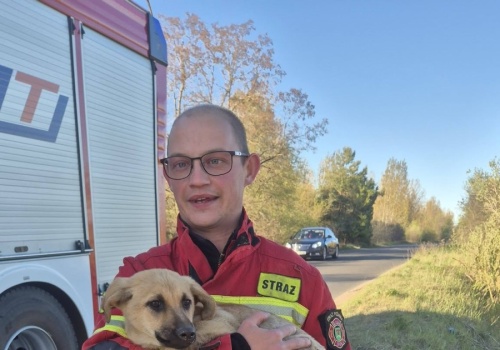 Nietypowa interwencja w Ślesinie. Pies bezpiecznie wydobyty z przepustu