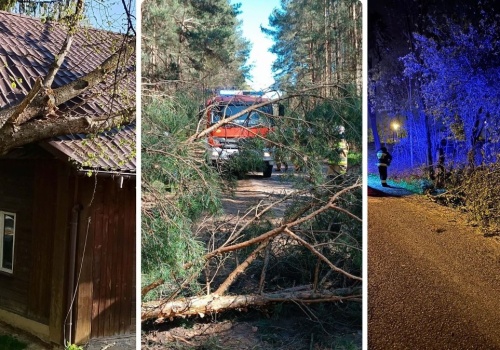 Silny wiatr nad Polską. Tysiące interwencji w całym kraju