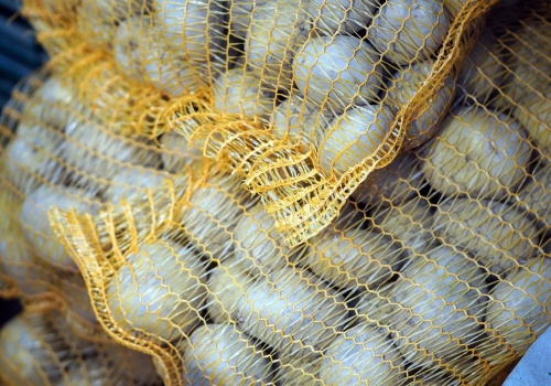 Darmowe warzywa w Krakowie. Start wielkiej akcji już w poniedziałek