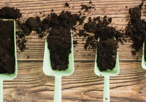 Jedna łyżka ziemi i wiesz wszystko. Tak sprawdzam pH bez sprzętu