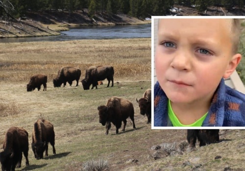 7‑latek bez litości o turystach w Yellowstone. Trafił w punkt