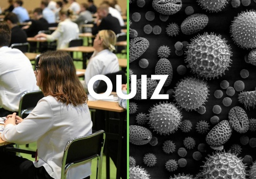 Quiz maturalny. Jak poradziłbyś sobie na egzaminie z biologii?