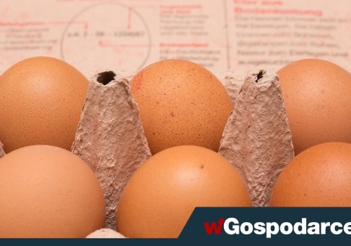 Producenci drobiu: rośnie import jaj do Polski