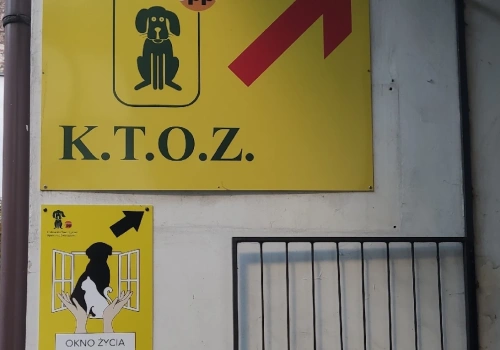 Wyrzucili zwierzęta na ulice jak śmieci. „To wyciska łzy z oczu”