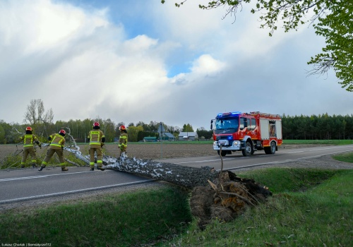 Silny wiatr nad Polską. Ponad dwa tysiące interwencji