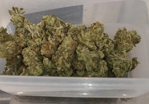 Spalony garnek postawił na nogi służby, ale w lokalu palono też inne rzeczy