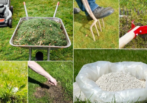 Trawnik po zimie wygląda źle? Zrób te 6 rzeczy w kwietniu, a będzie gęsty i zielony