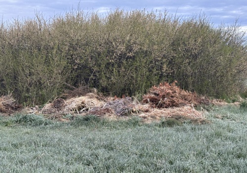Wojna o odpady w rzeszowskim Budziwoju. „Wyglancowane ogródki, a za płotem syf”