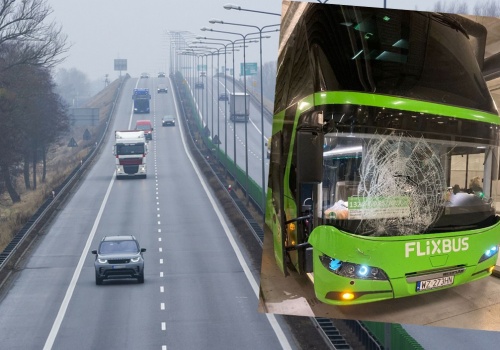 Flixbus zawiesił swojego kierowcę, który przywalił w łosia, spalił szluga i postanowił kontynuować jazdę