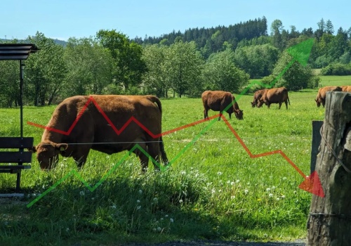 Nowe stawki dobrostanu 2025. Wzrost tylko na papierze