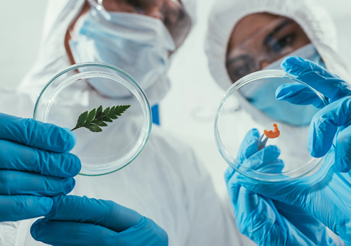 Biotechnologia: Czy Polska zajmie niewypełnioną niszę?