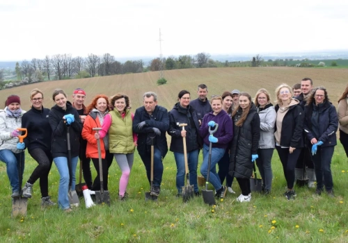 Na Wiszniaku posadzili japońskie wiśnie. Powstanie wyjątkowa aleja