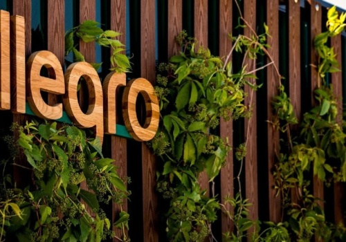 Na Allegro jest już logowanie bez haseł! Jak włączyć klucze dostępu?