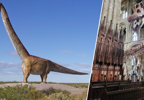 Tytanozaur w kościele. Prehistoryczny gigant na wyjątkowej wystawie