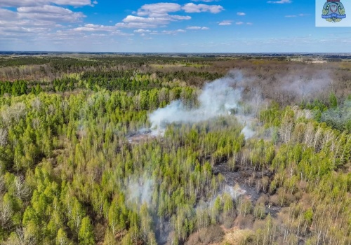 Pożar lasu pod Skierniewicami. Do akcji wkroczył samolot gaśniczy
