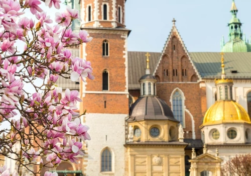 Polskie miasto wygranym majówki. W rezerwacjach wyróżnia się ten kraj