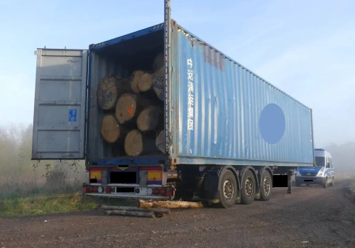 Zakaz przewozu drewna dębowego w kontenerze – rozszerzone ściany i brak trakcji