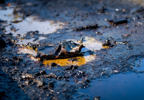 Miasto w Rosji tonie w ropie. Klęska ekologiczna po ukraińskim ataku
