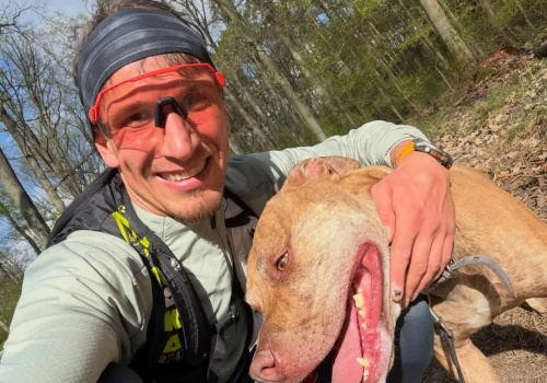 Żużel. Pedersen u Jacksona, Tai w Barcelonie, a Lebiediew ogrodnikiem (POZA TOREM)