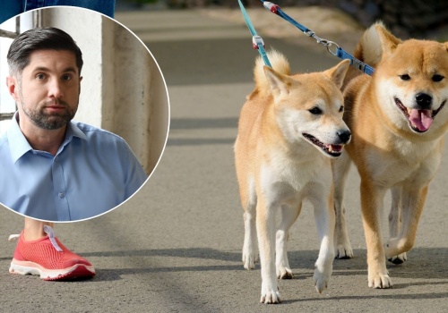 Nowe obowiązki dla właścicieli psów coraz bliżej, za niedopełnienie kara. Ekspert wyjaśnia, co się zmieni