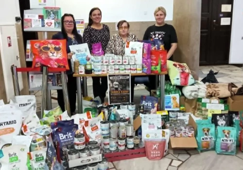 Mieszkańcy Mysłowic w hołdzie Łukaszowi Litewce. Sukces charytatywnej zbiórki