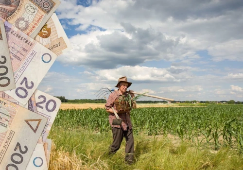 Emeryt z KRUS może kupić ziemię? Wielu rolników się myli
