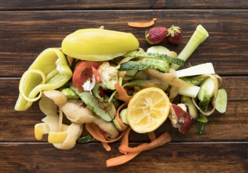 Darmowe pojemniki na bioodpady dla mieszkańców Częstochowy