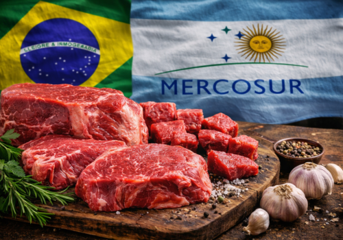 Mercosur i „kwota Hilton”. Polscy hodowcy mogą stracić kontrakty!