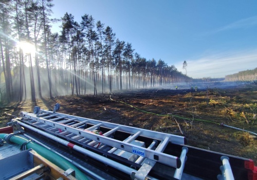 Pożar lasu w powiecie sztumskim. W akcji strażacy i Dromader