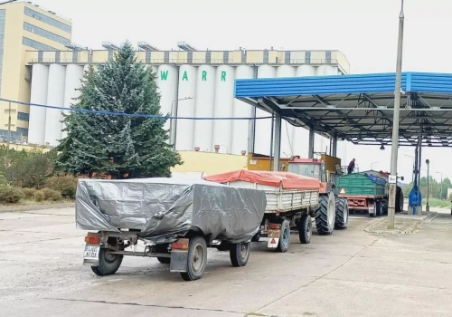 Ceny zbóż po żniwach 2026. Czy pszenica w końcu zdrożeje?