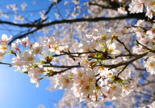 Majówka jak lato, nawet 28 stopni. Ale to, co nadejdzie później, może pokrzyżować plany