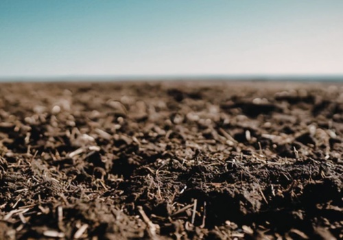 Certyfikaty węglowe w rolnictwie pod znakiem zapytania