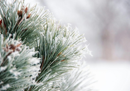 Przymrozki w województwie lubelskim. IMGW wydał ostrzeżenia dla regionu