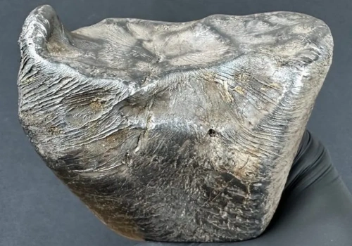 Niesamowite znalezisko pod Łodzią. Z nieba spadło 3 kg kosmicznego żelaza