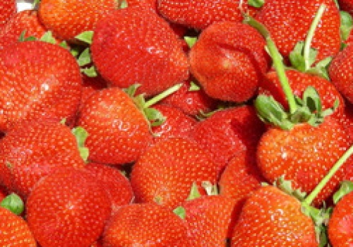 Truskawkowa pułapka: jak rozpoznać polskie owoce i nie dać się nabrać oszustom?