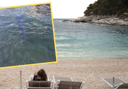 Zdjęcia z Chorwacji przeraziły turystów. 