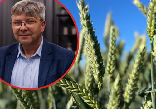 Tański na EEC: Między optymalizacją kosztów a spadkiem plonów. Granica jest cienka